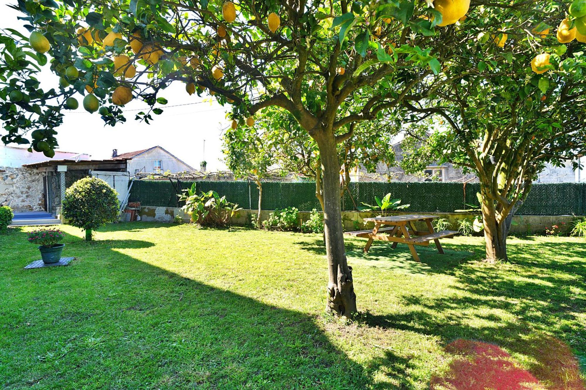 Casa Con Jardin En Vilanova De Arousa Понтеведра Экстерьер фото